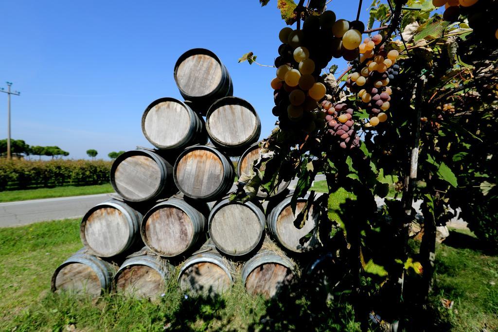 Agriturismo Trere Faenza Buitenkant foto
