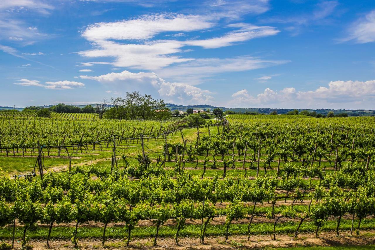 Agriturismo Trere Faenza Buitenkant foto